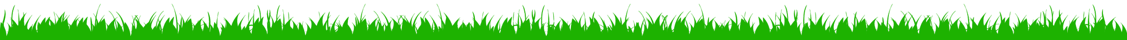herbe